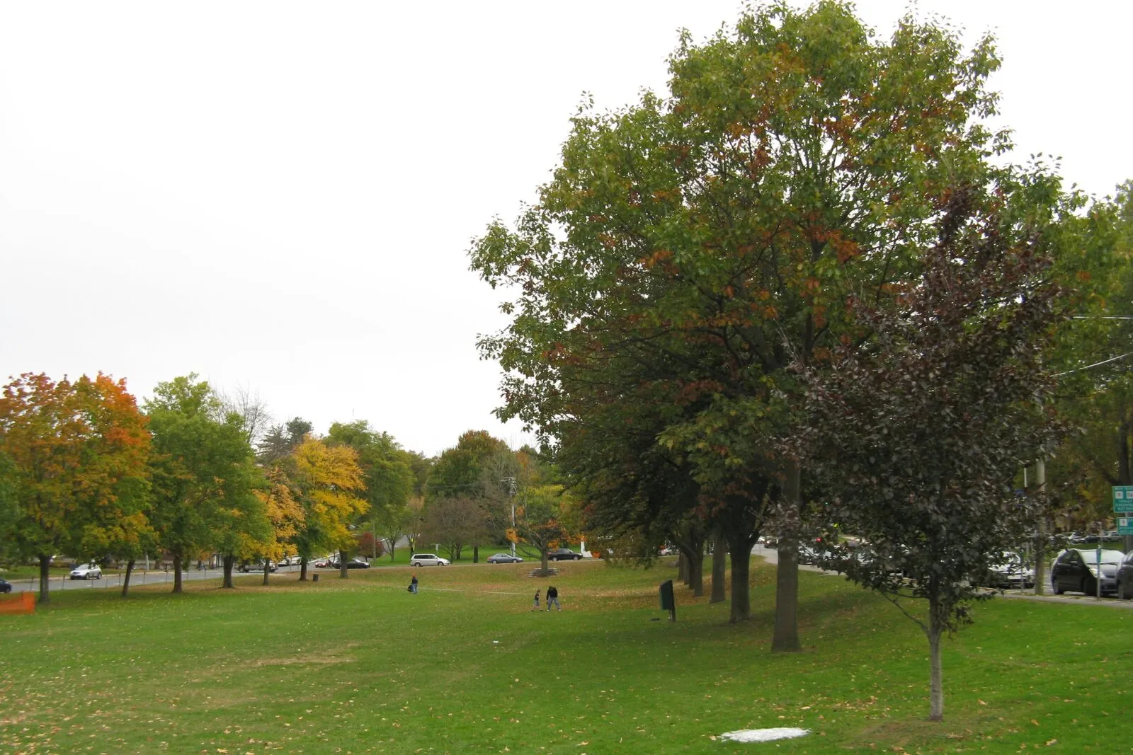 The Amherst Town Common in autumn, a long open green bordered by a white church and brick civic buildings under a clear sky.