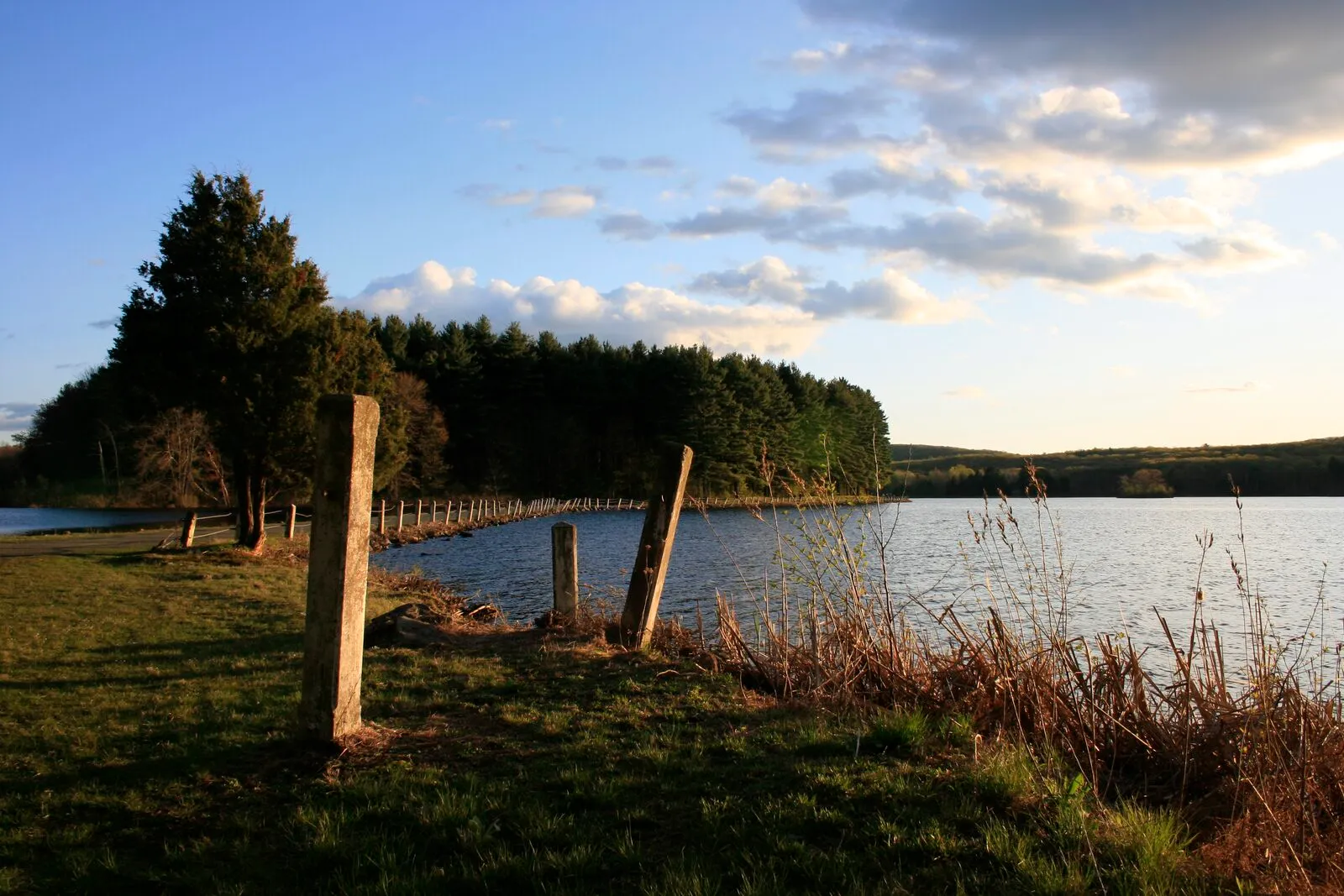 An evening view across Ashley Reservoir in Holyoke. A grassy shoreline with a low wooden split-rail fence runs across the foreground, with weathered fence posts standing prominently. Beyond the fence, calm water stretches to a wooded peninsula on the left, where dark conifers and lighter spring foliage catch the late sun. More wooded shore continues along the far bank into low hills. The sky above is a soft blue with scattered cumulus clouds tinted gold by the setting sun.