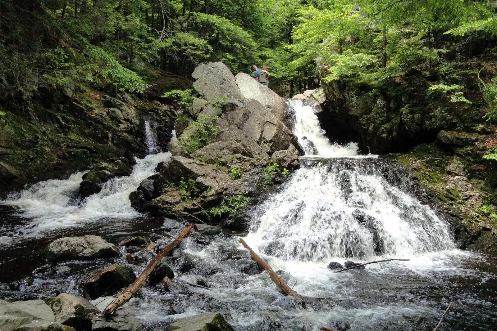 View up the Middle Branch of the Swift River at Bear's Den — whitewater spilling over a multi-step ledge of dark, water-worn rock into a clear pool in the foreground, with a large mossy boulder dividing the upper drop, a fallen hemlock log resting across the stones at the lip of the lower pool, mixed hemlock and deciduous canopy crowding both rocky banks under a soft, overcast summer light, and two small figures standing on the rim above the falls in the upper center of the frame.