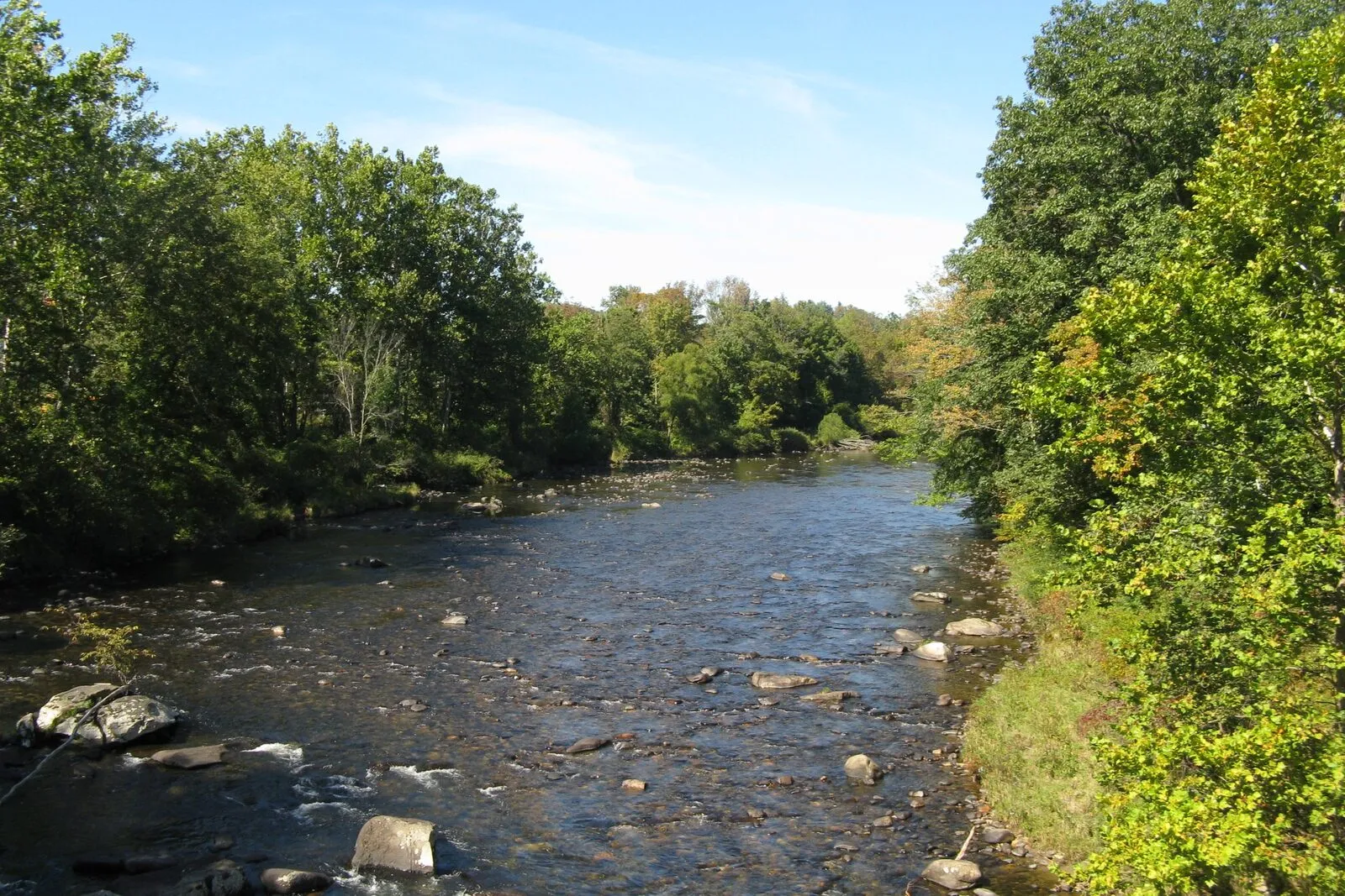 The Westfield River seen from East Main Street in Huntington on a clear, sunny late-September afternoon: a wide, shallow, slow-moving stretch of river running over a rocky cobble bed with scattered larger boulders breaking the surface, leafy mid-summer-green deciduous trees lining both banks and arching toward the water, a low brushy understory along the right-hand bank, the river curving away gently into the distance, and a deep blue sky with only a few thin clouds overhead.
