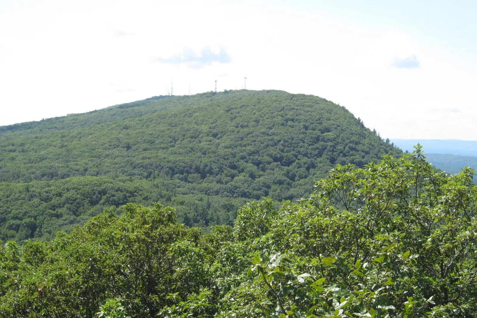 The forested Mount Tom ridge rising above summer treetops, communications towers clustered on its summit, with hazy hills receding on the horizon.
