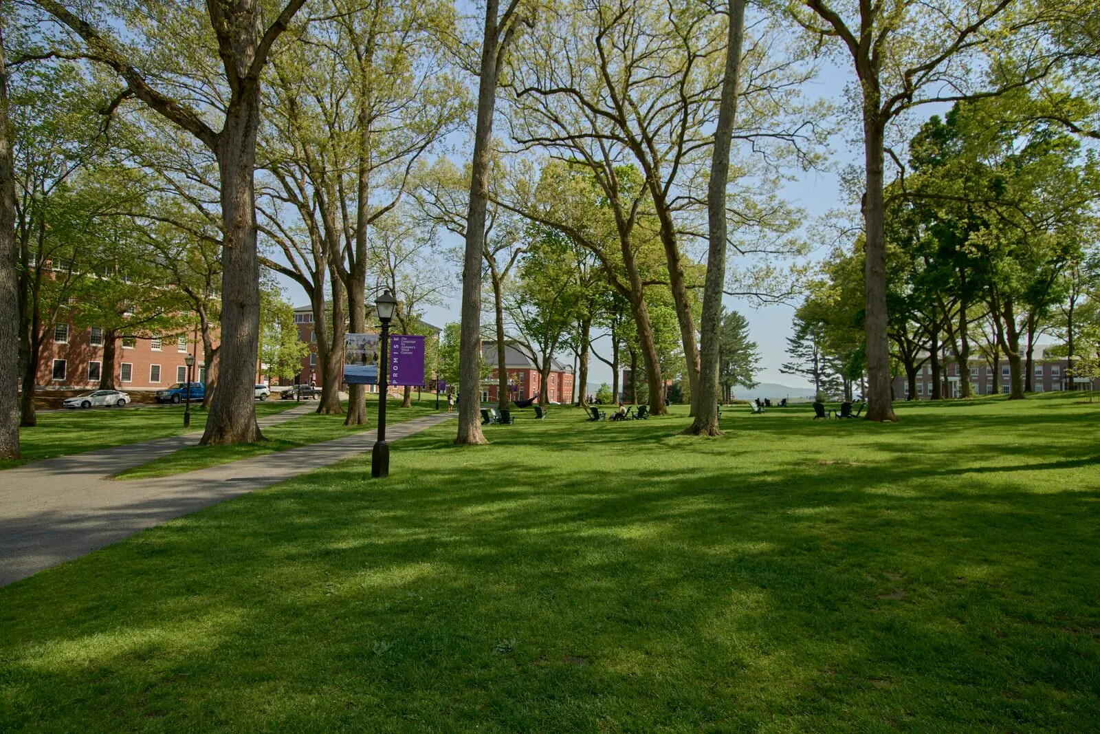The main quadrangle at Amherst College on a sunny late-spring morning — a wide green lawn dappled with sun and shade, mature deciduous trees with newly opened leaves arching overhead, a black wrought-iron lamppost carrying a purple Amherst College banner on the path on the left, brick academic buildings visible in the middle distance, and small groups of students sitting on the grass enjoying the day.