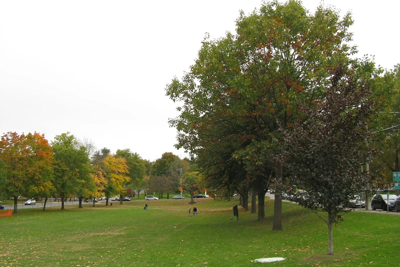 Looking south across the Amherst Town Common on a bright fall afternoon, with the wide green lawn opening across the foreground, a single tall flagpole flying the U.S. flag at center, mature deciduous trees in red-and-yellow autumn foliage framing the green at left and right, the white-clapboard First Congregational Church visible at the south end with its tall steeple, and the brick and clapboard buildings of South Pleasant Street, including the block that holds The Drake, running along the right edge of the frame under a clear blue sky.